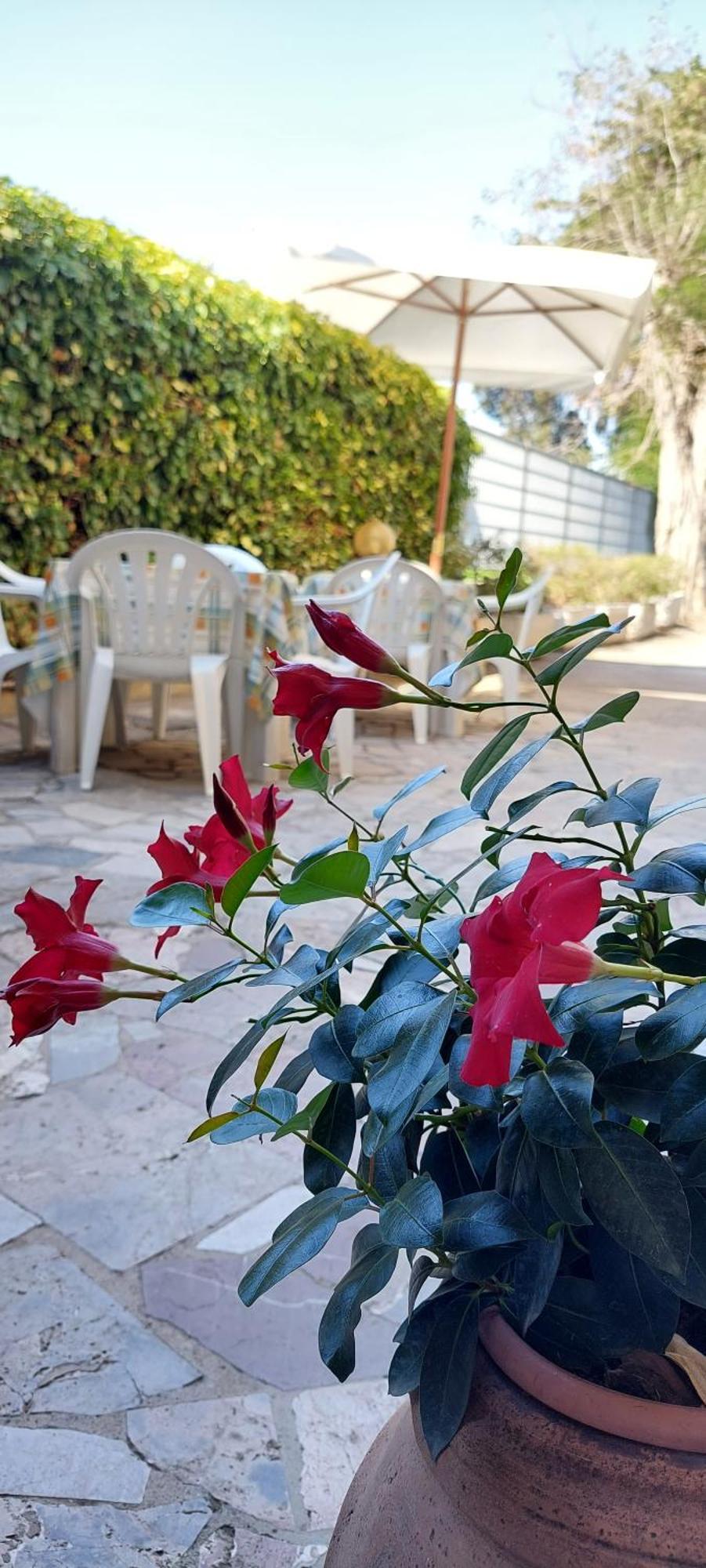 Hotel Lea Grosseto Bagian luar foto